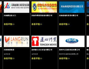 河南企業管理賦能全鏈條 從咨詢策劃到認證開發的一體化解決方案