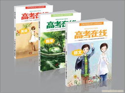 封面設計與品牌塑造 從食品包裝到企業VI與軟件開發